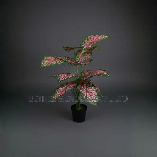 Artificial Angel Wings Plant 75cm – Elegant Faux Greenery