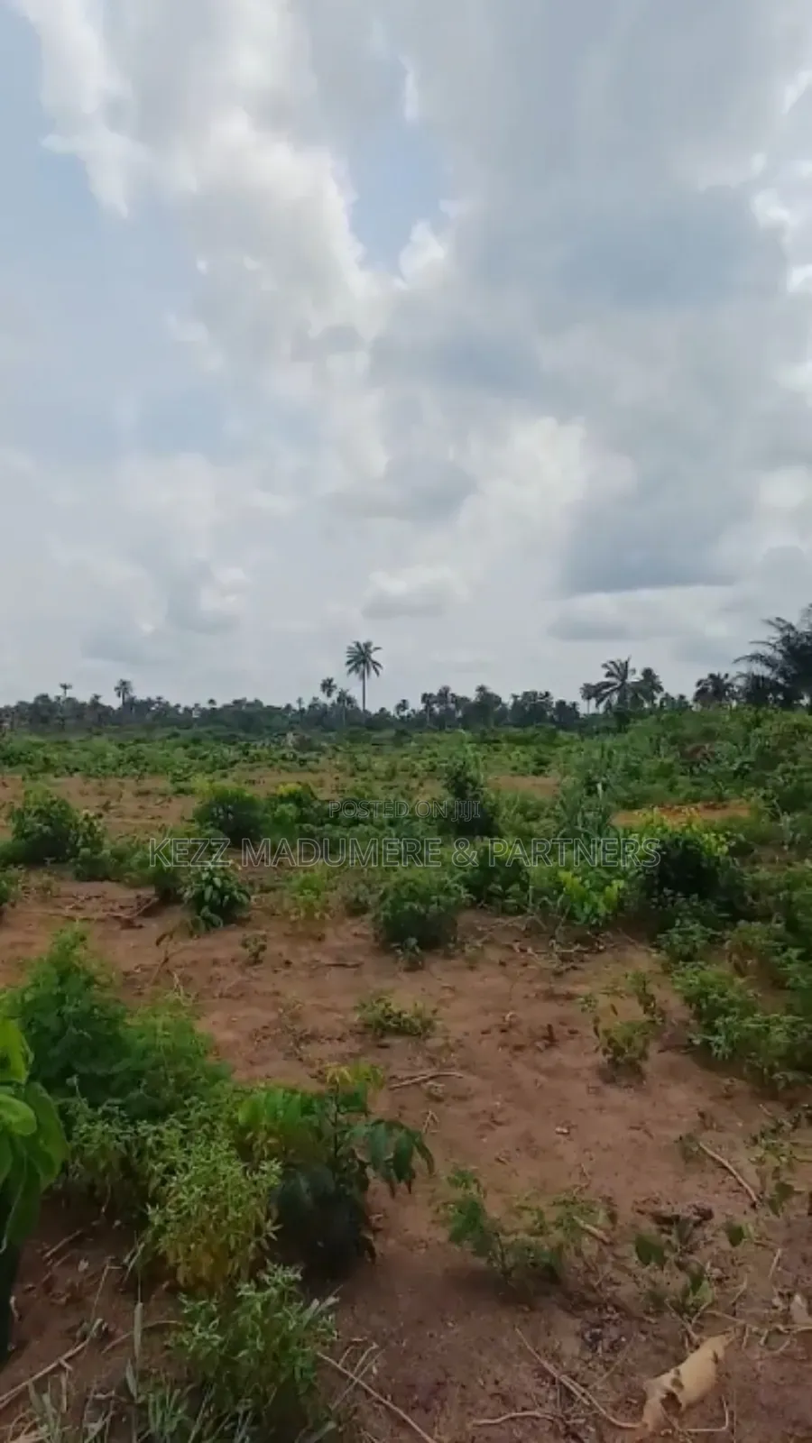 For Sale: Massive Land at Omagwa, Port Harcourt