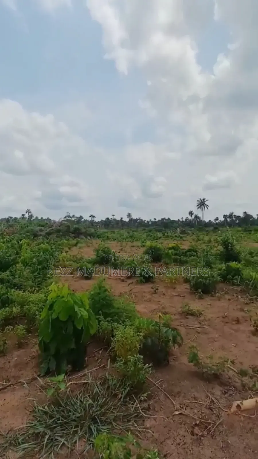 For Sale: Massive Land at Omagwa, Port Harcourt