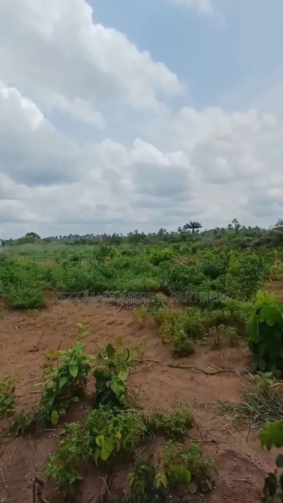 For Sale: Massive Land at Omagwa, Port Harcourt