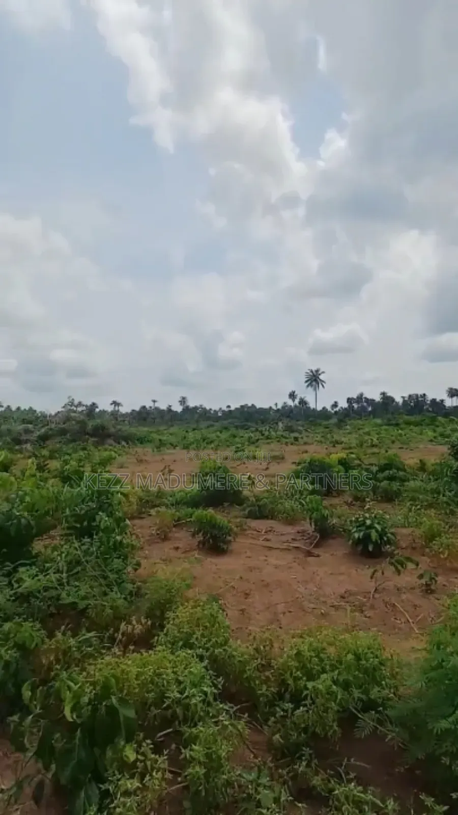 For Sale: Massive Land at Omagwa, Port Harcourt
