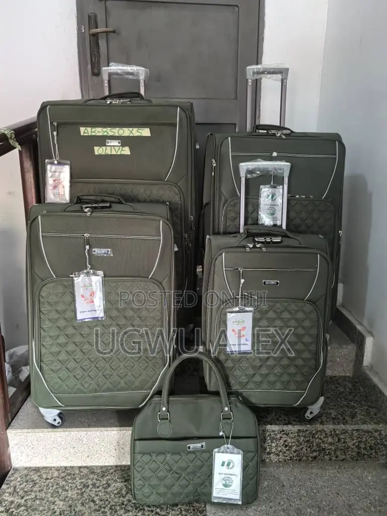 Adorable 5 in One Luggage