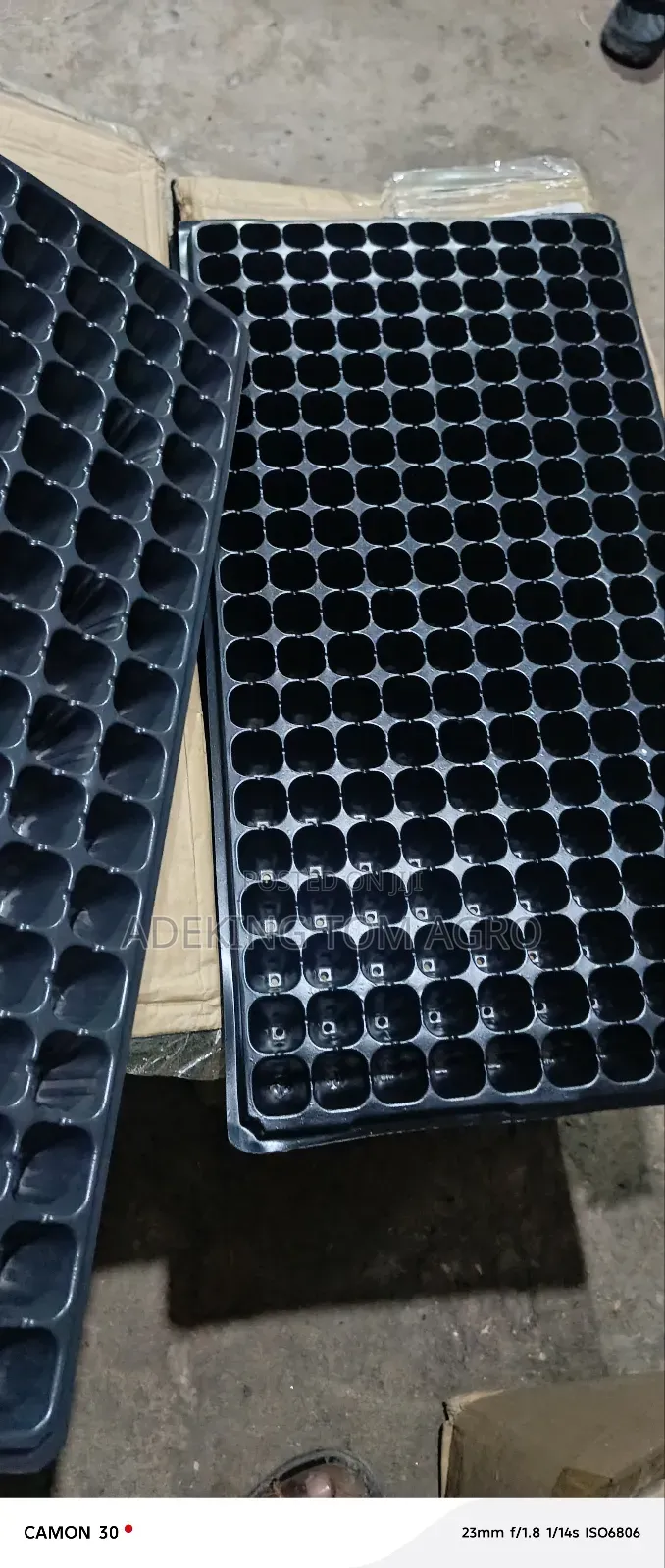 Seeding Tray