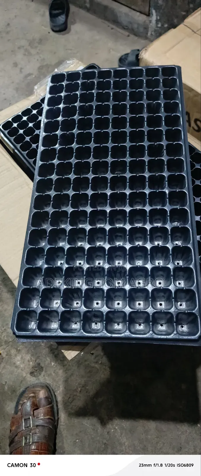 Seeding Tray