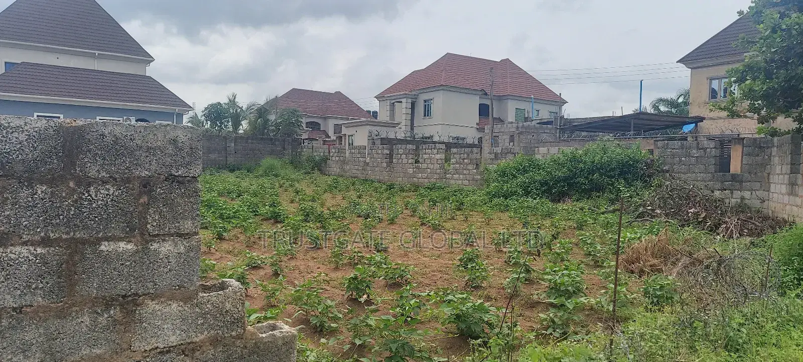 Fenced Plot of Land for Sale