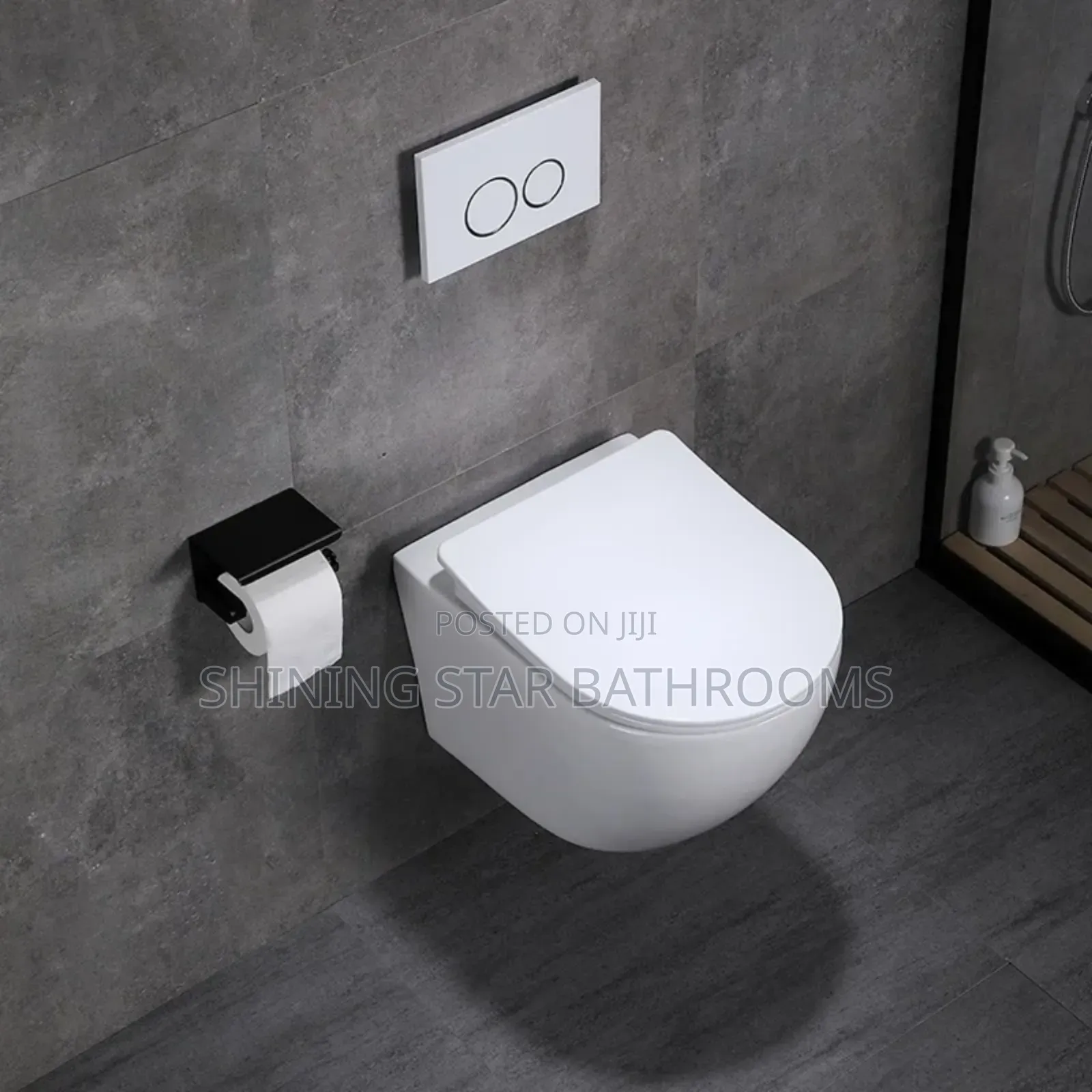 Round Wall Hung Conceal Toilet Set
