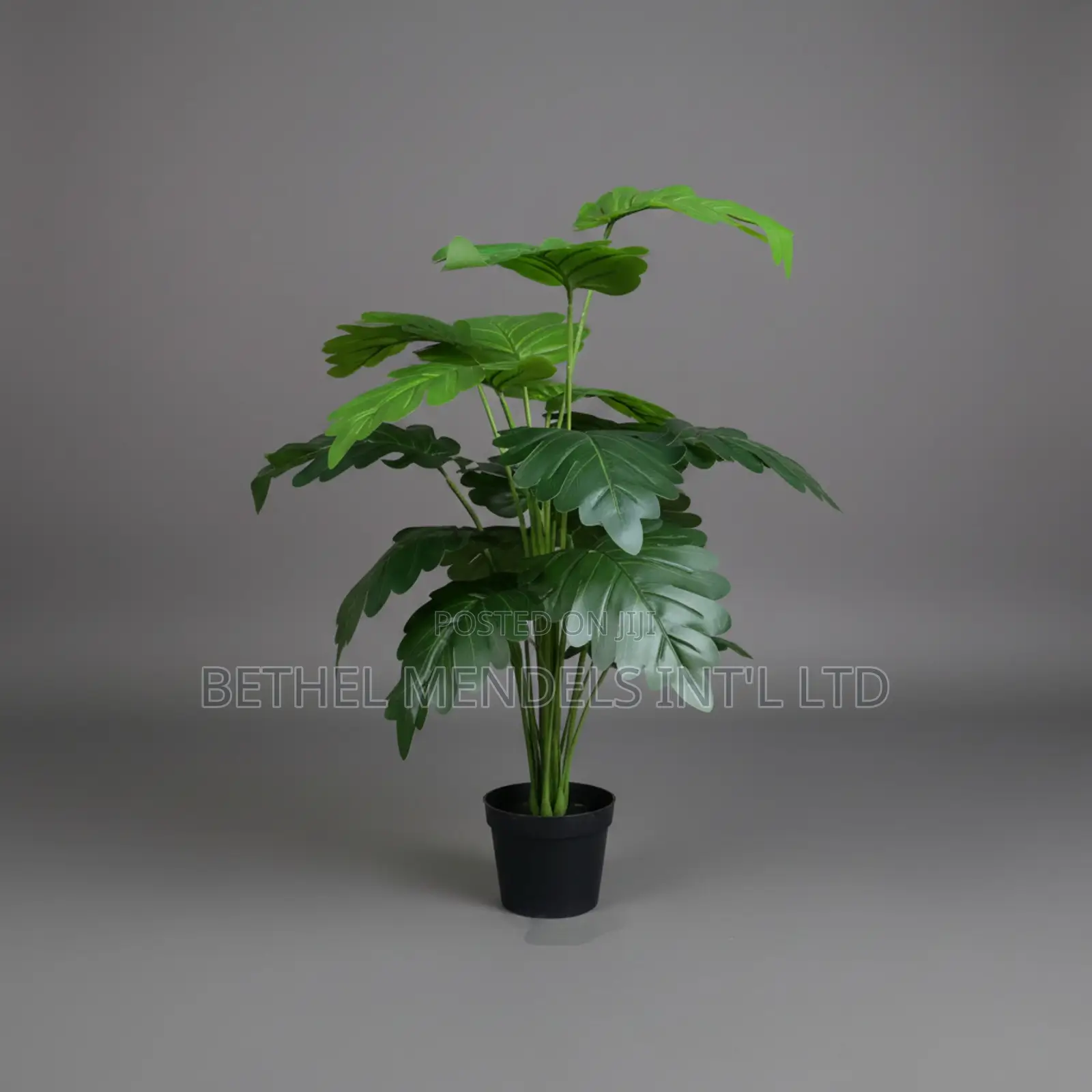 Artificial Philodendron Selloum 75cm – Dark Green Faux Plant