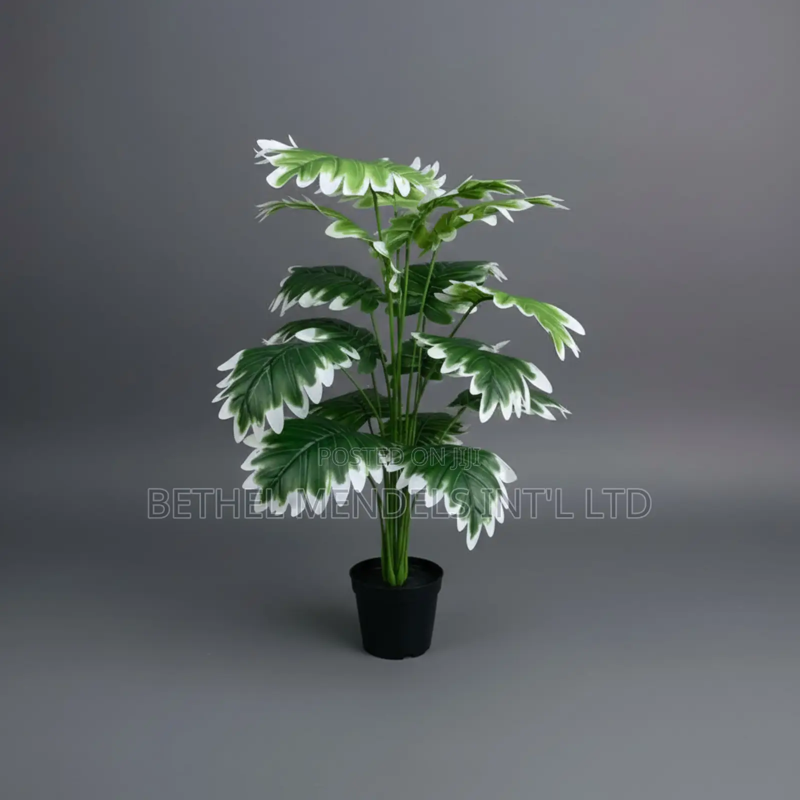 Artificial Philodendron Selloum 72cm – White Green Fabric Plant