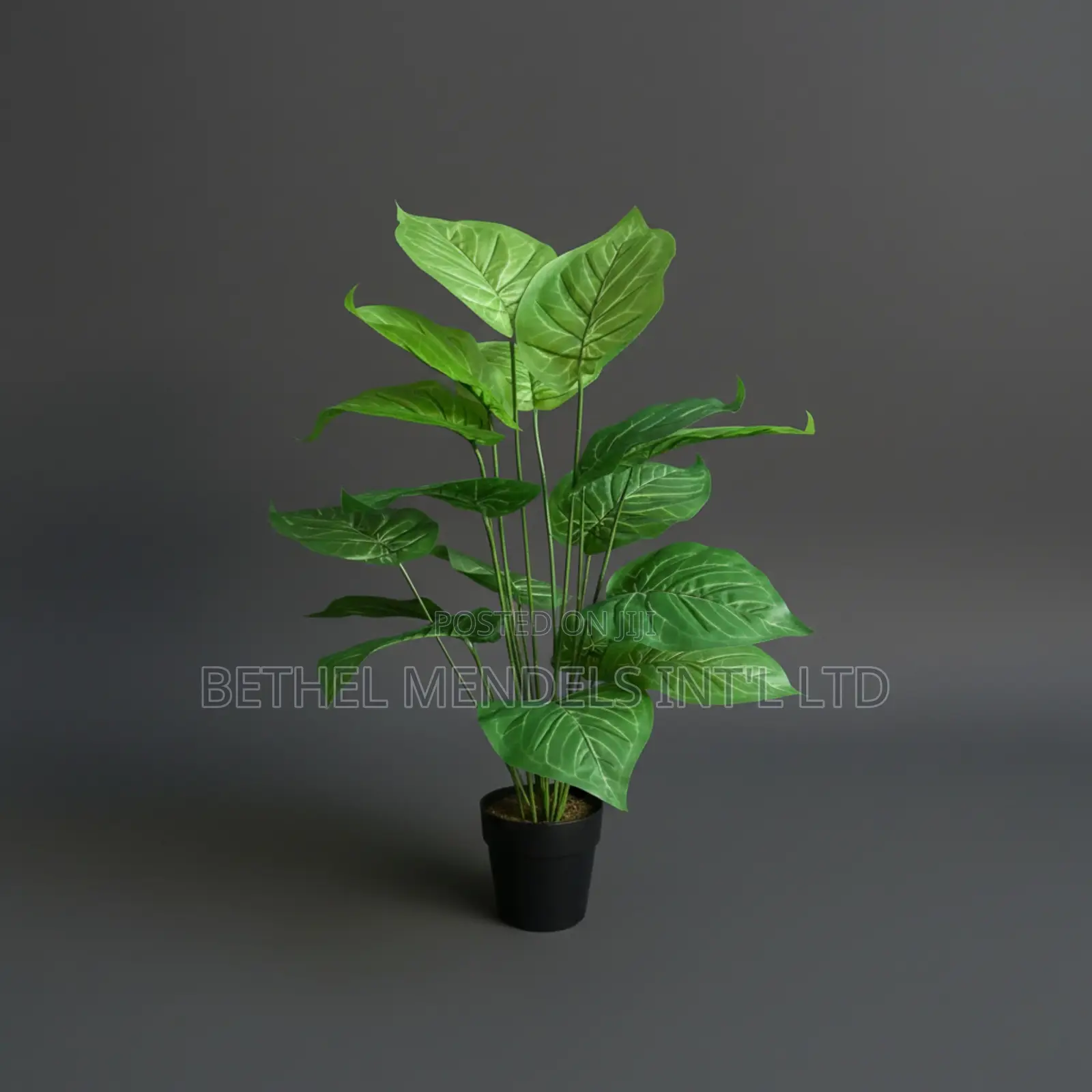 Artificial Taro Plant 80cm – Lush Green Tropical Faux Décor