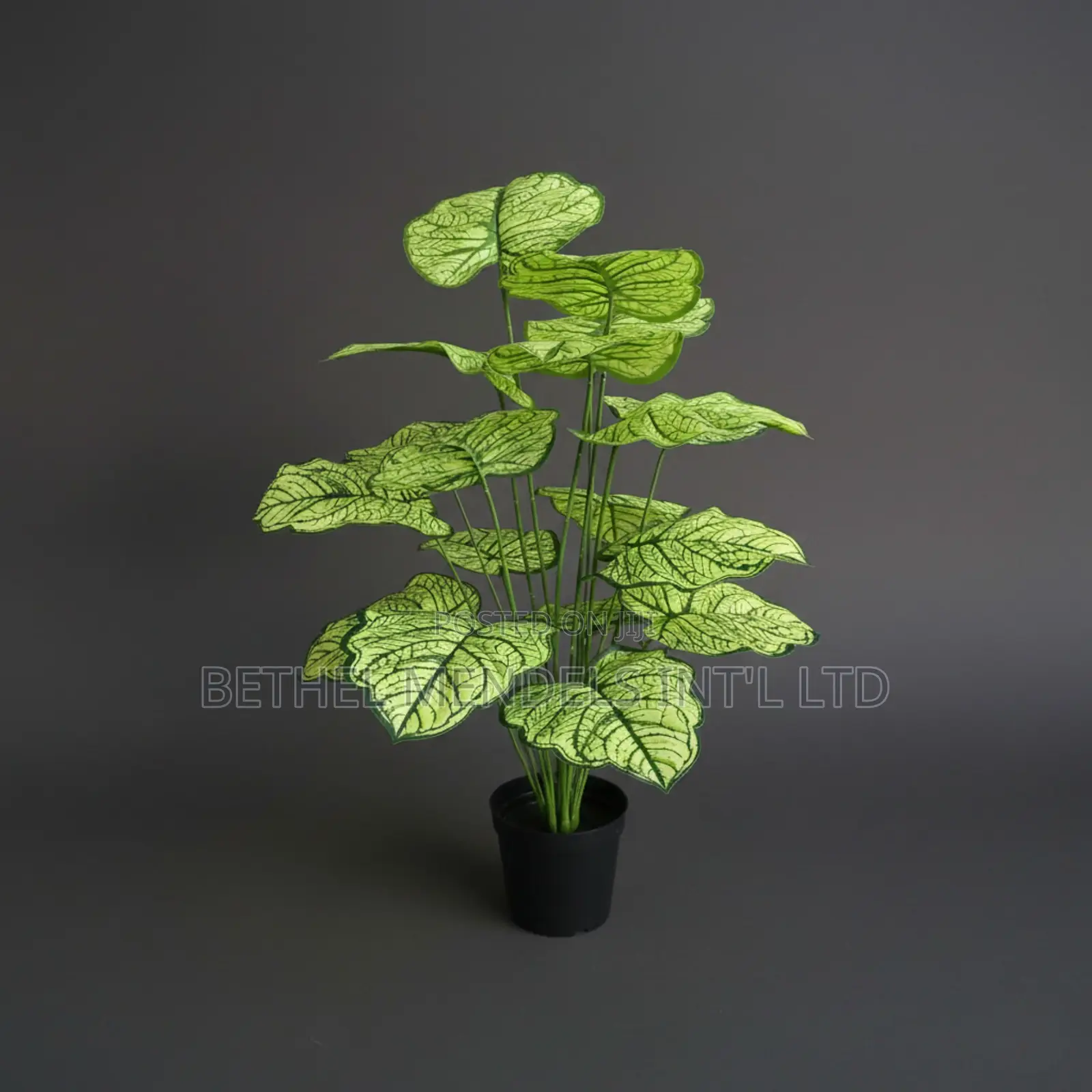Artificial Taro Plant 75cm – Dark Green Tropical Faux Plant