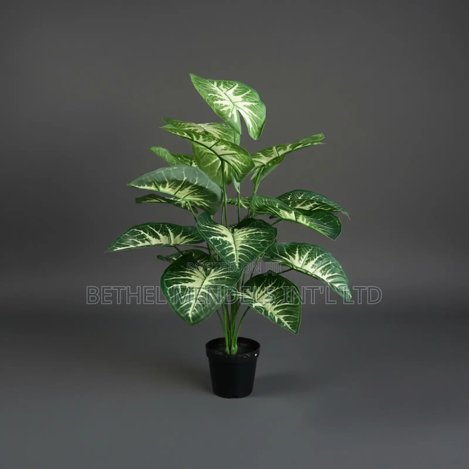 Artificial Taro Plant 73cm – Yellow Tropical Faux Plant
