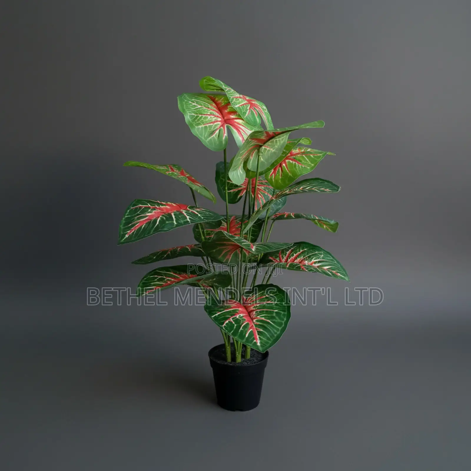 Red Artificial Taro Plant 70cm – Vibrant Faux Tropical Greenery