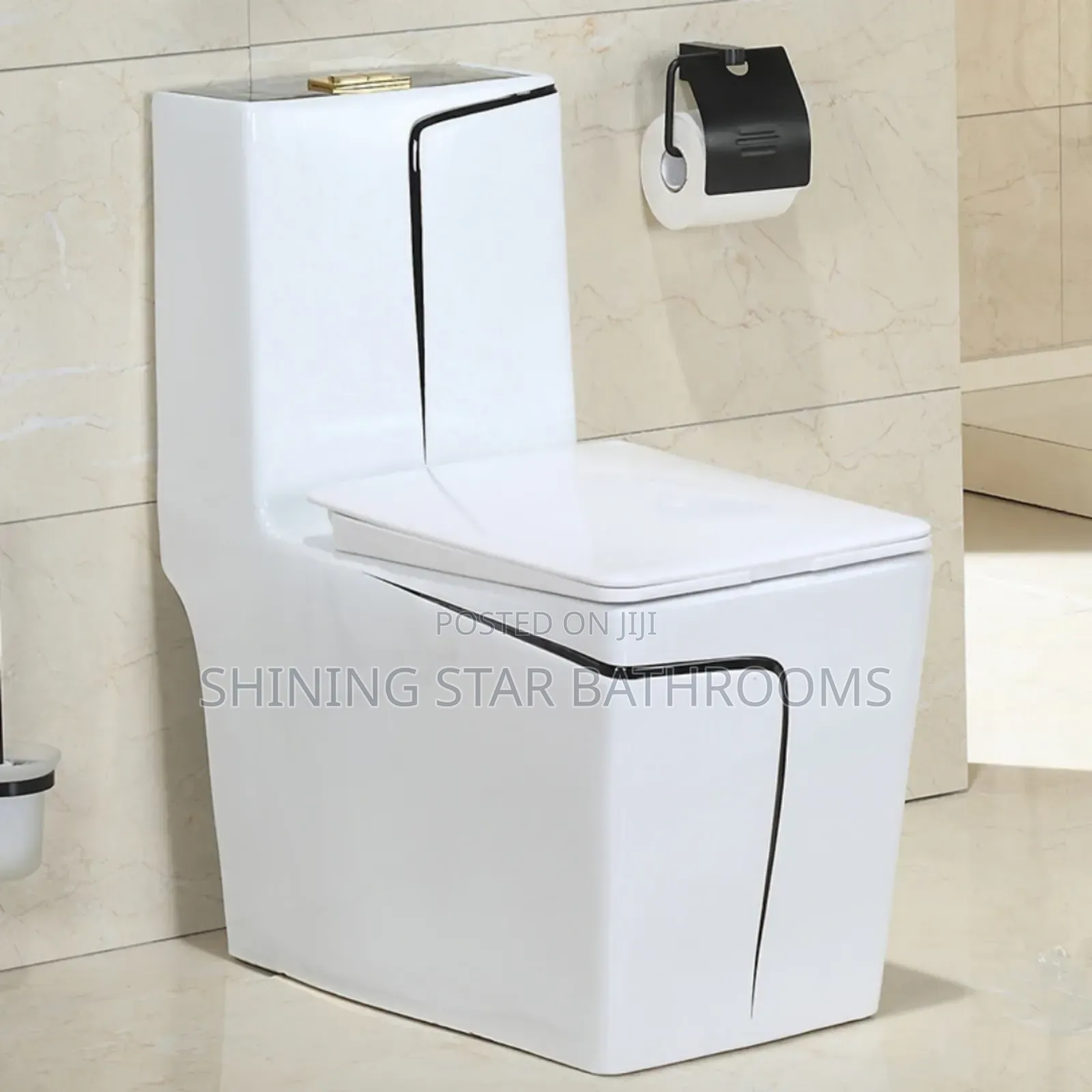 Dragon White Toilet Set With Black Stripe