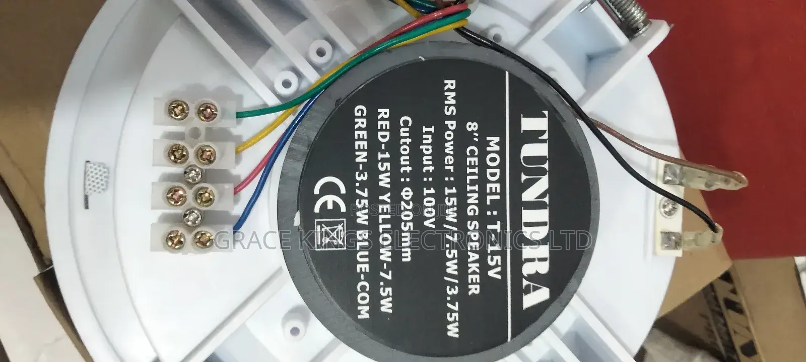 Tundra Voltage Ceiling Speaker