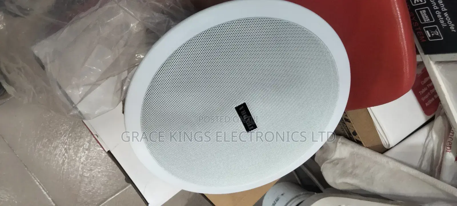 Tundra Voltage Ceiling Speaker