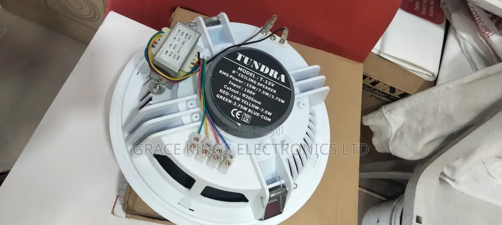 Tundra Voltage Ceiling Speaker