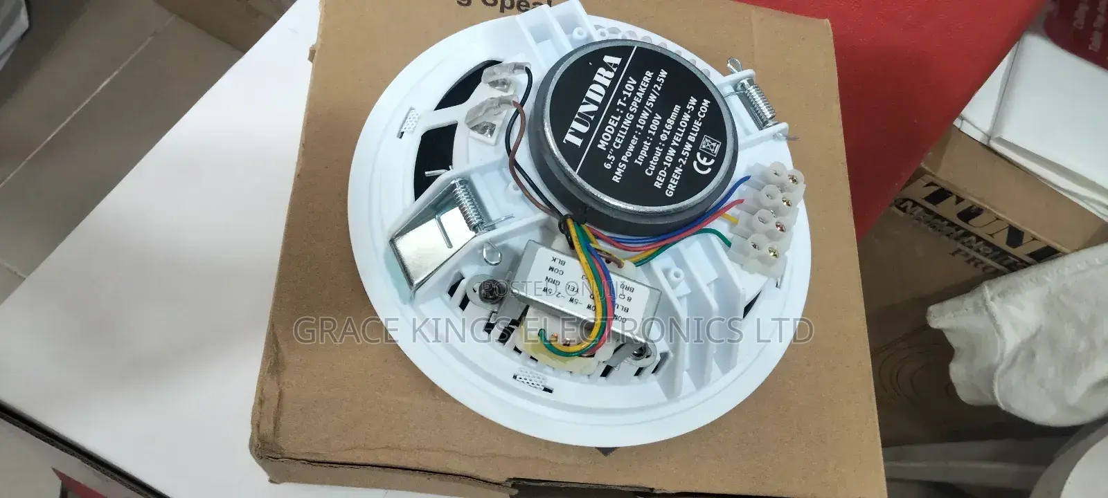 Tundra Voltage Ceiling Speaker
