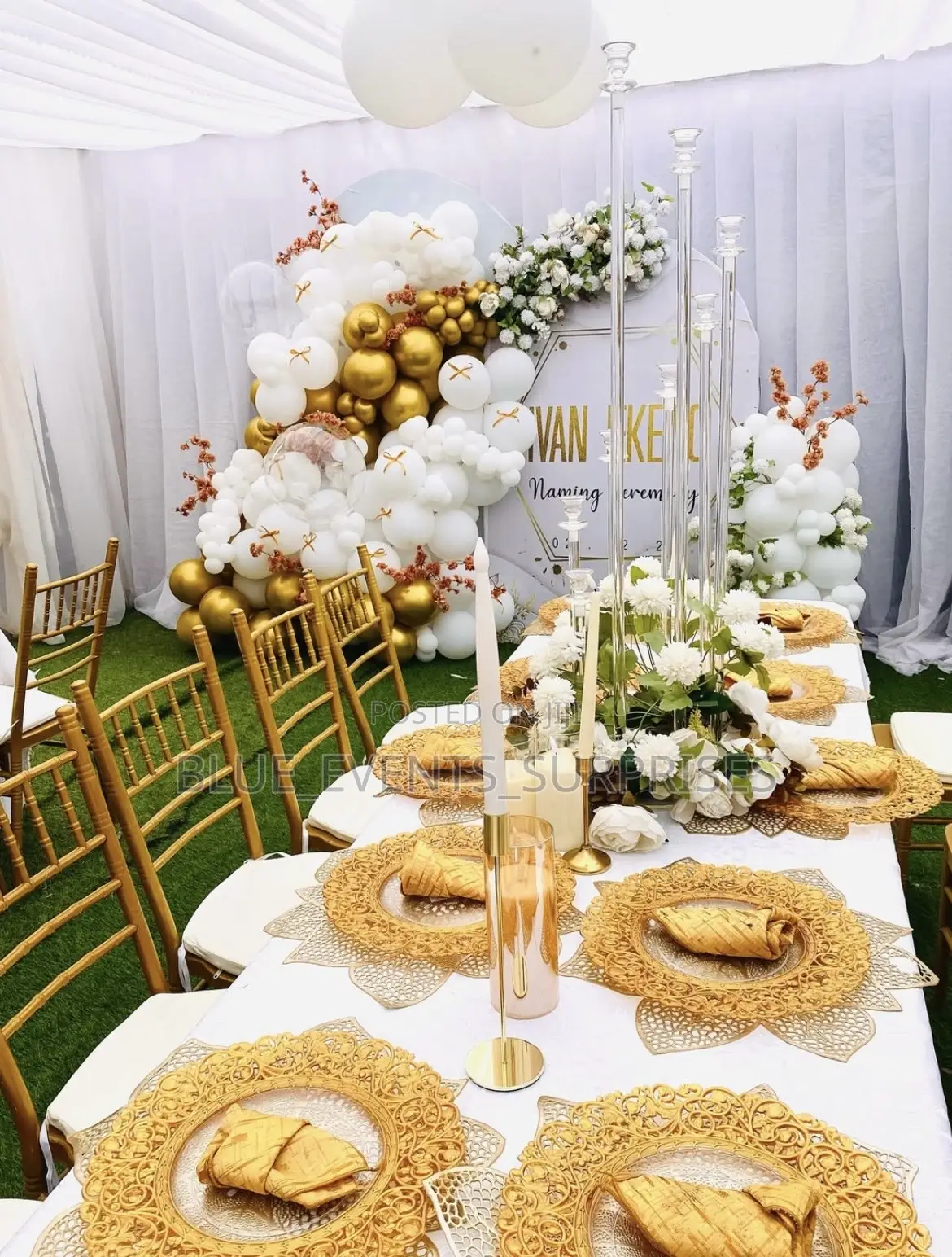 Ballon Garland Naming Ceremony Event Decor