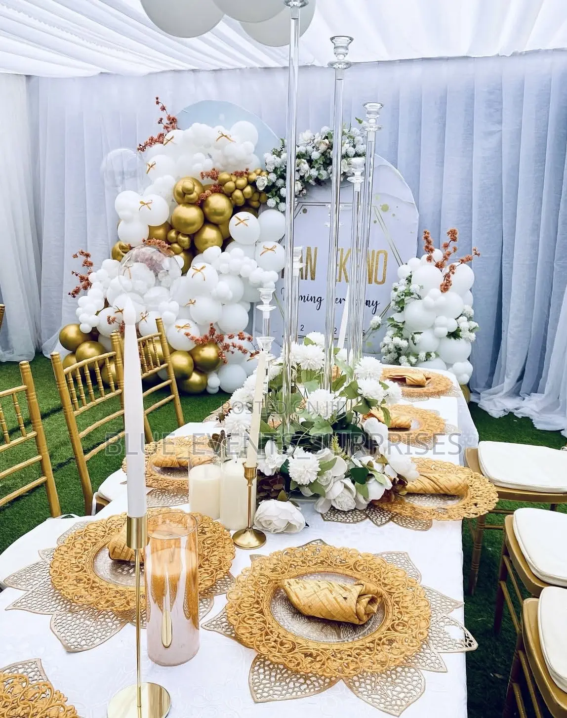 Ballon Garland Naming Ceremony Event Decor