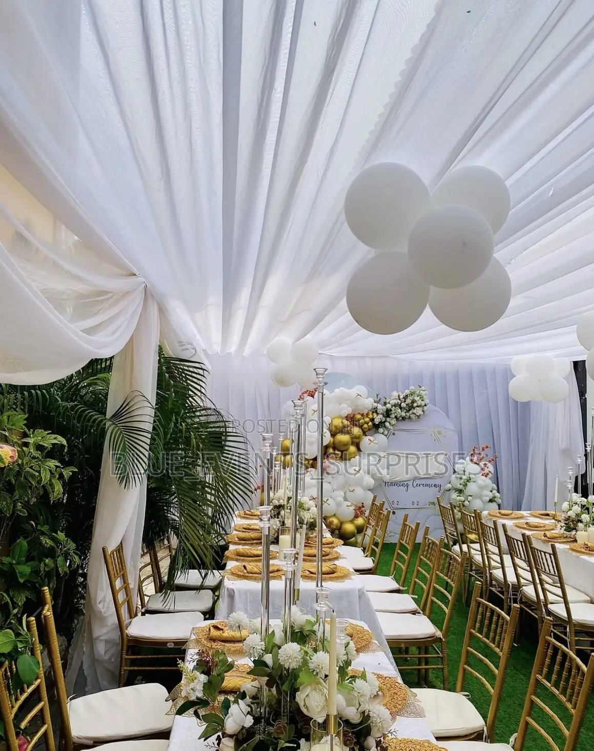 Ballon Garland Naming Ceremony Event Decor