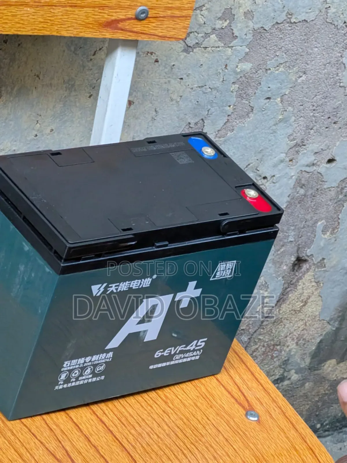 Bumper Car Battery