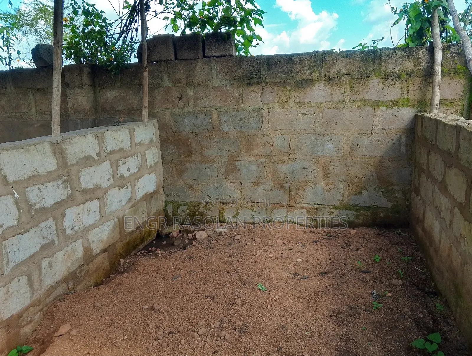 Poultry for Sale