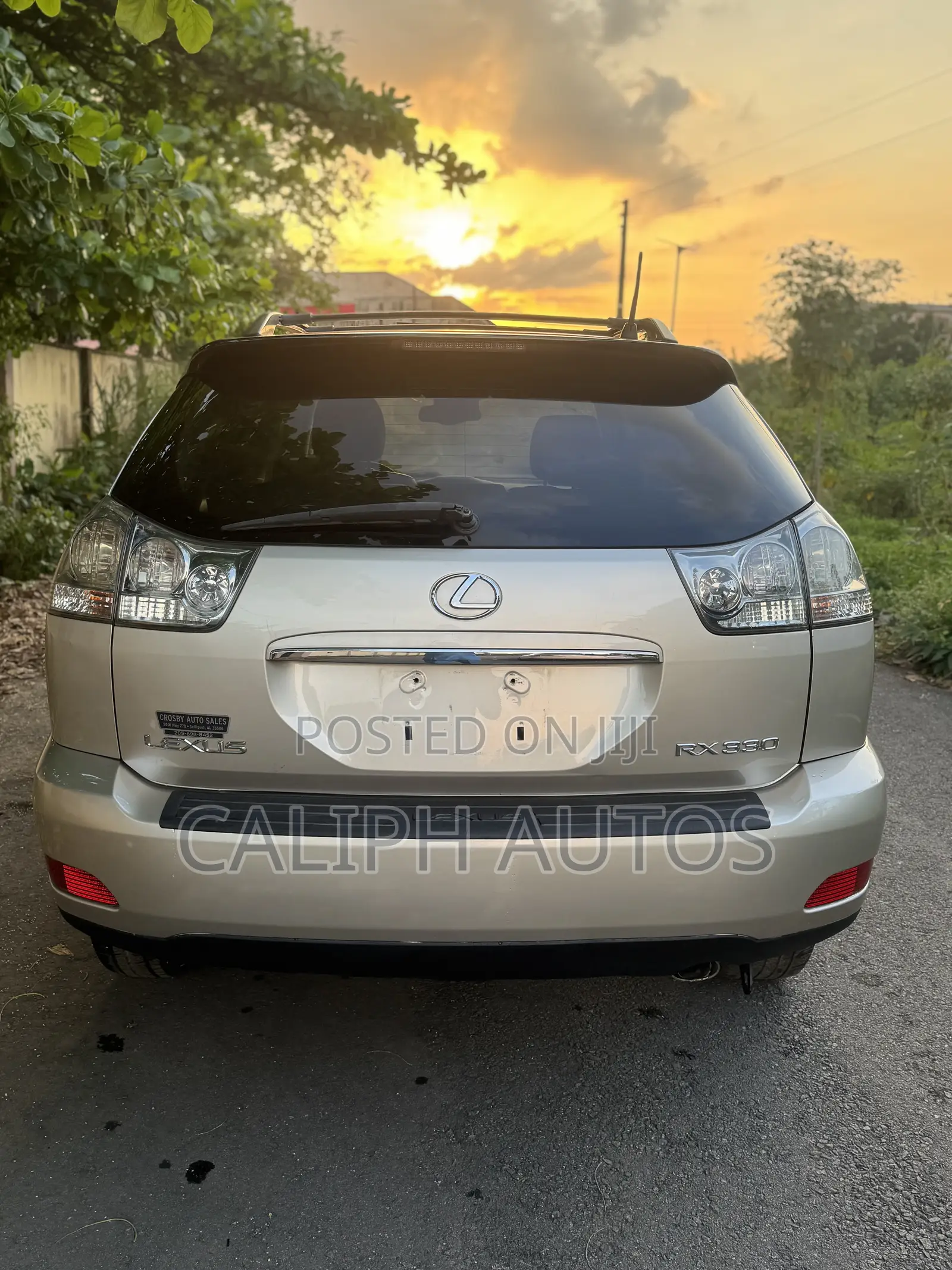 Lexus RX 330 2006 Gold