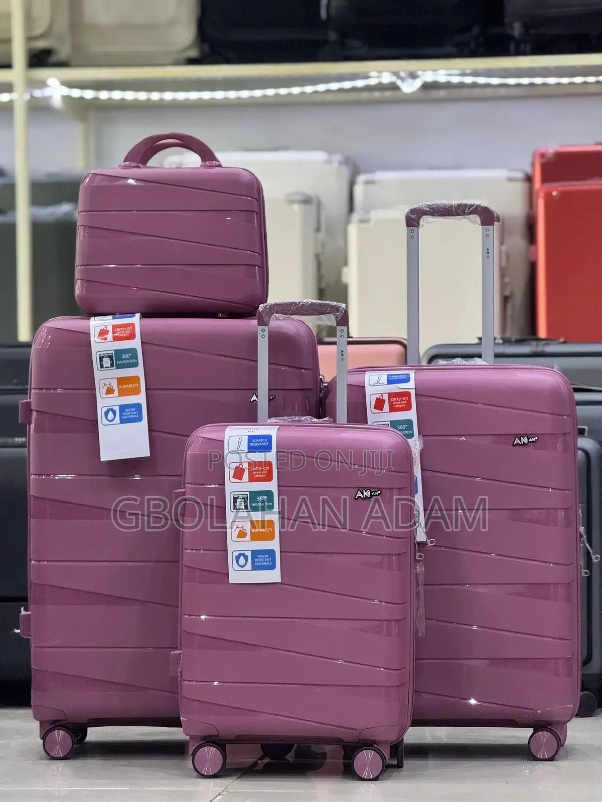 Elegant Travel Companion Set - 4 Piece Lightweight Suitcases
