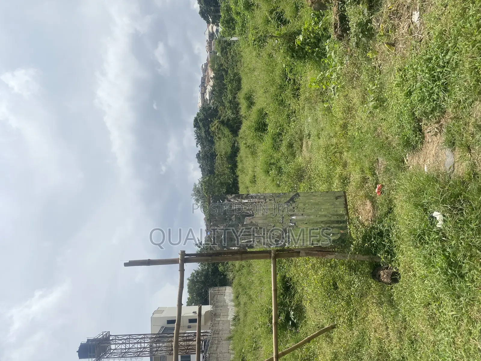 Certificate Of Occupancy