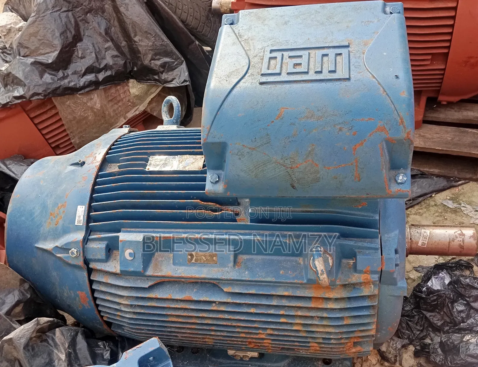 Wag Electric Motor