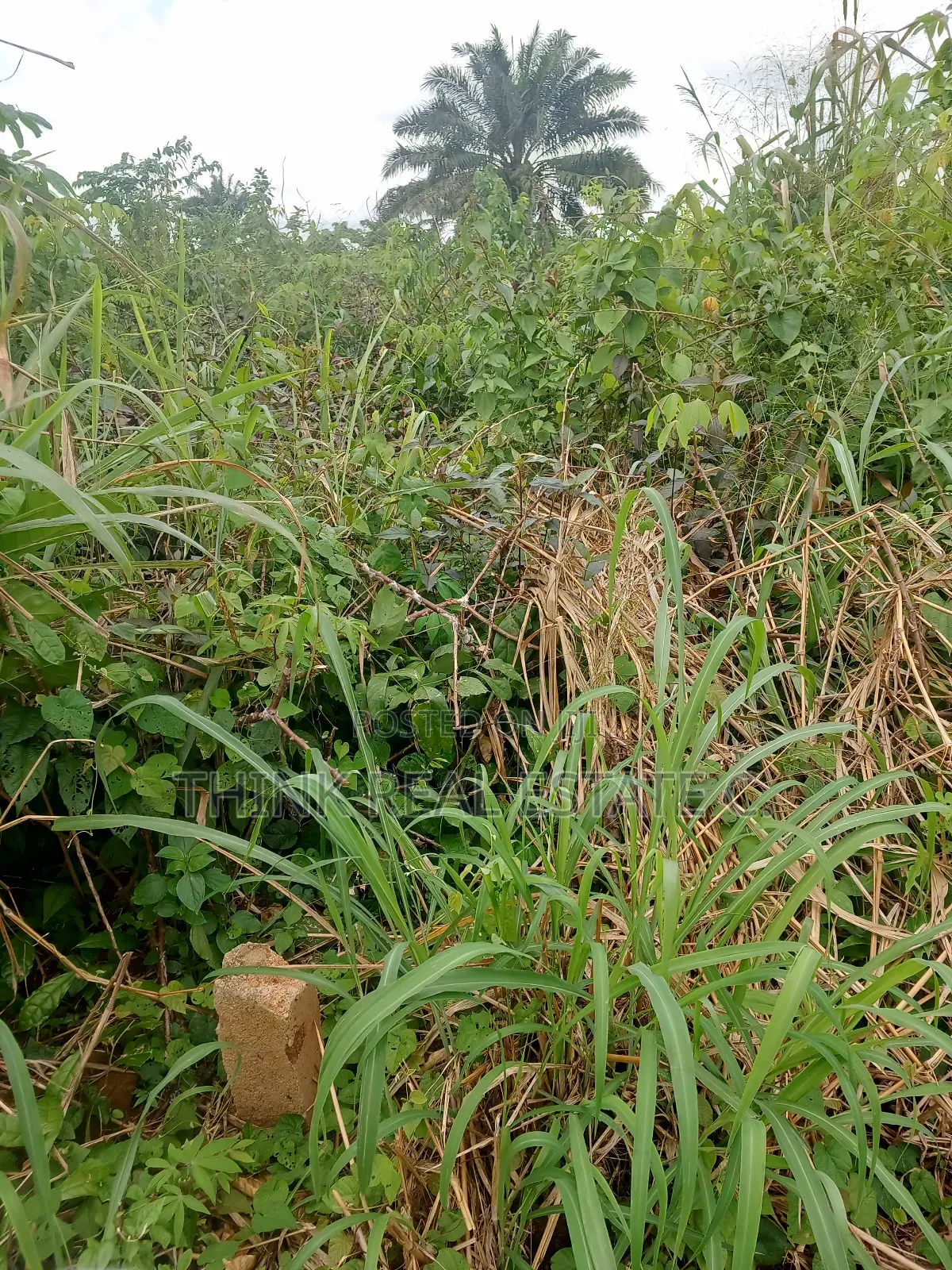 50/100 Land Egba,Aduwawa for 3m Naira Slightly Negotiable