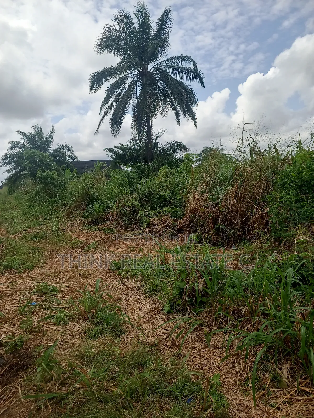 50/100 Land Egba,Aduwawa for 3m Naira Slightly Negotiable
