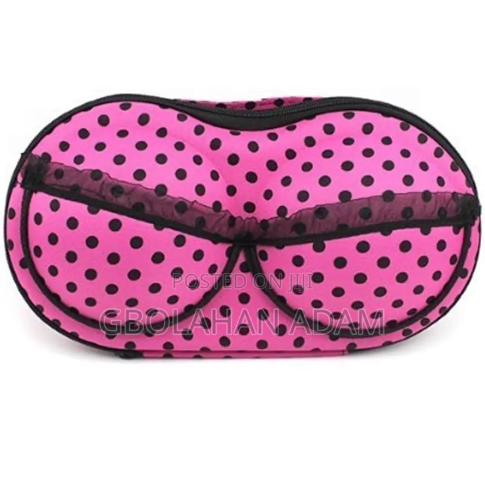 Bra Travel Case and Protector