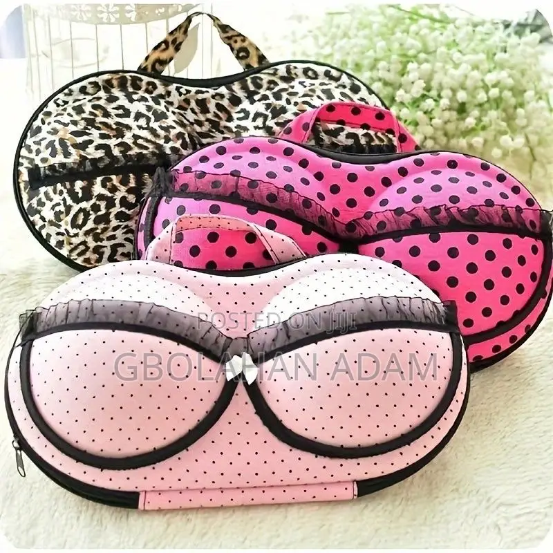 Bra Travel Case and Protector