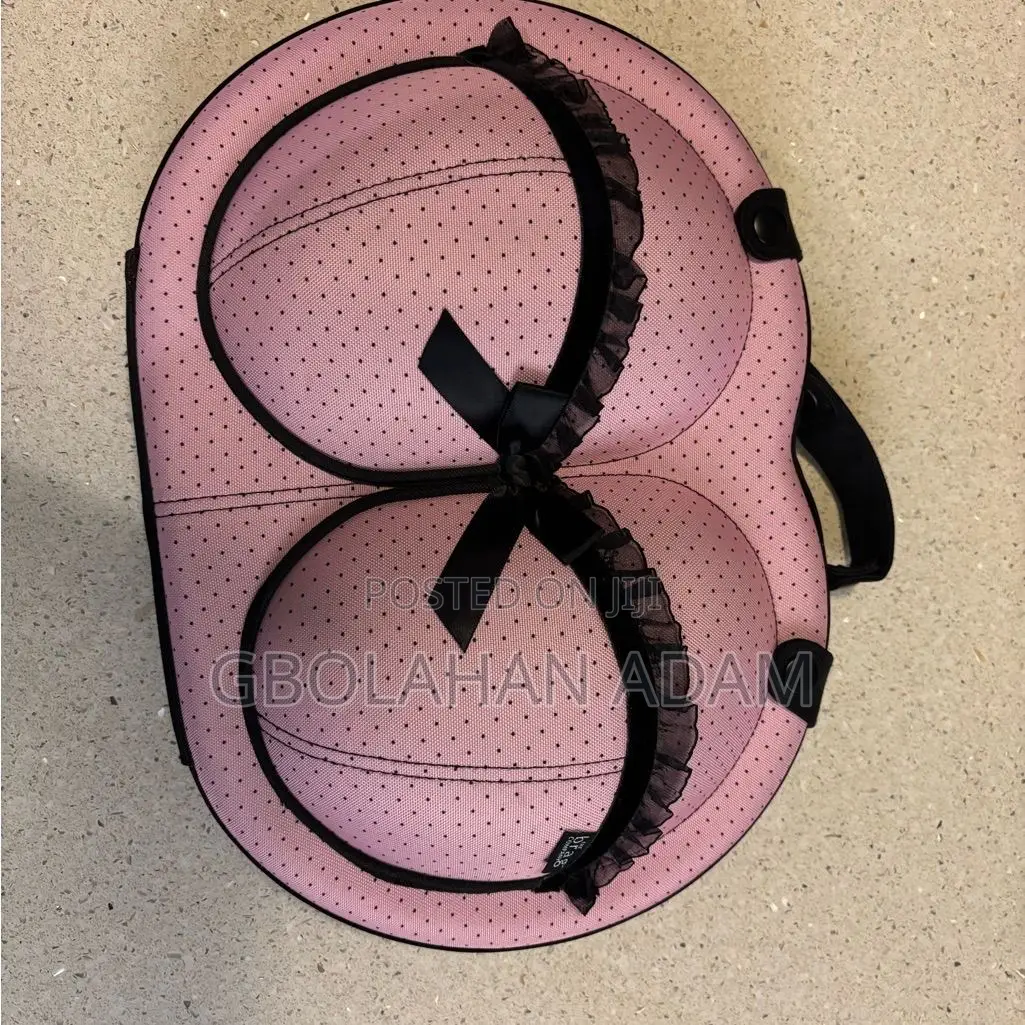 Bra Travel Case and Protector