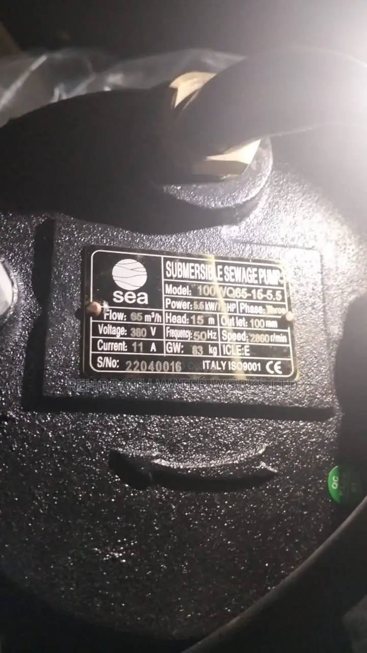 Sea Sewage Pump
