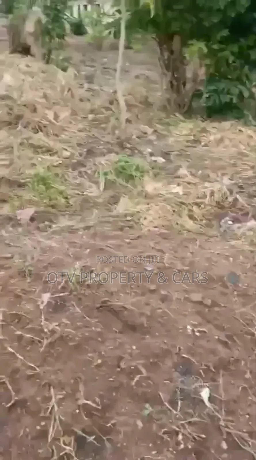 *For Sale 2 Standard Plots of Land