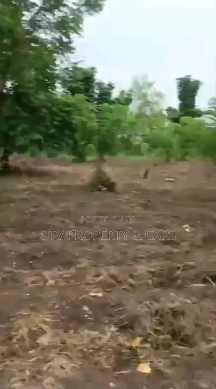 *For Sale 2 Standard Plots of Land