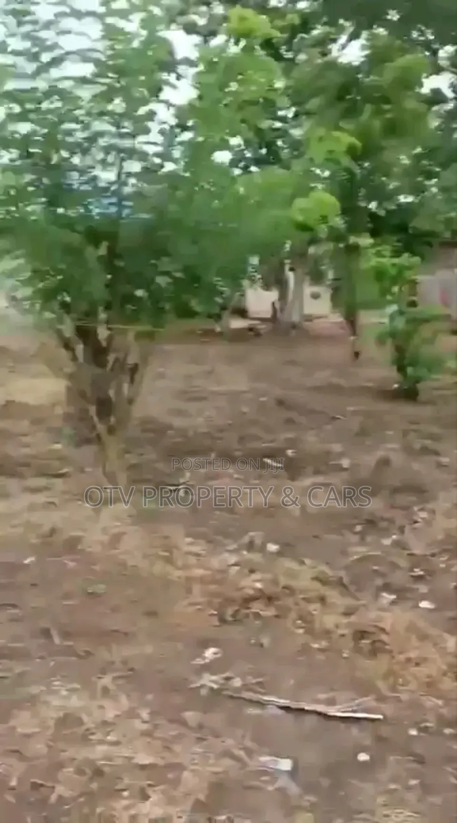 *For Sale 2 Standard Plots of Land