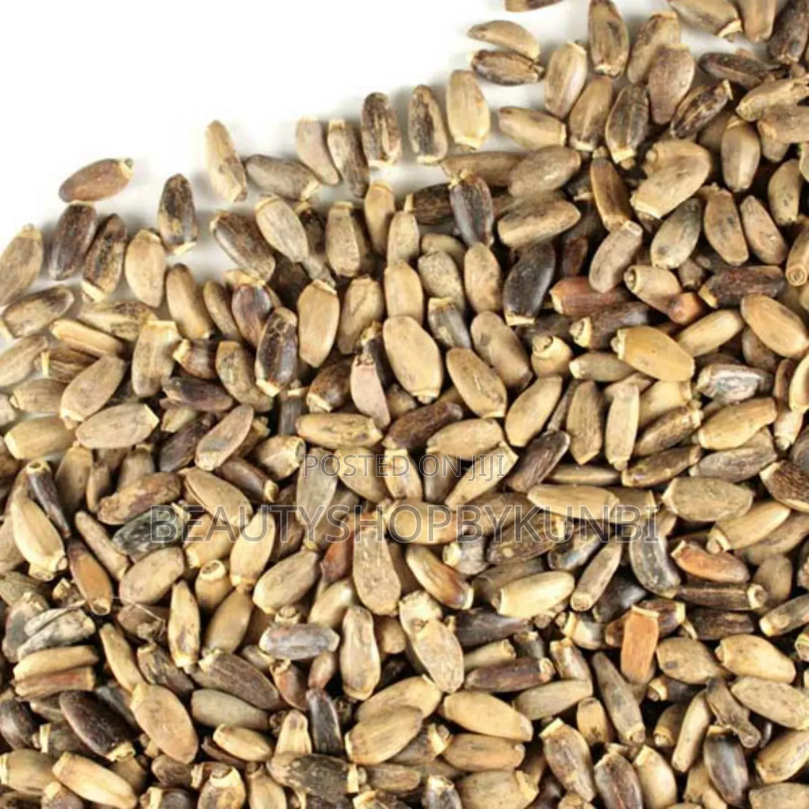 Milk Thistle Seeds -100g