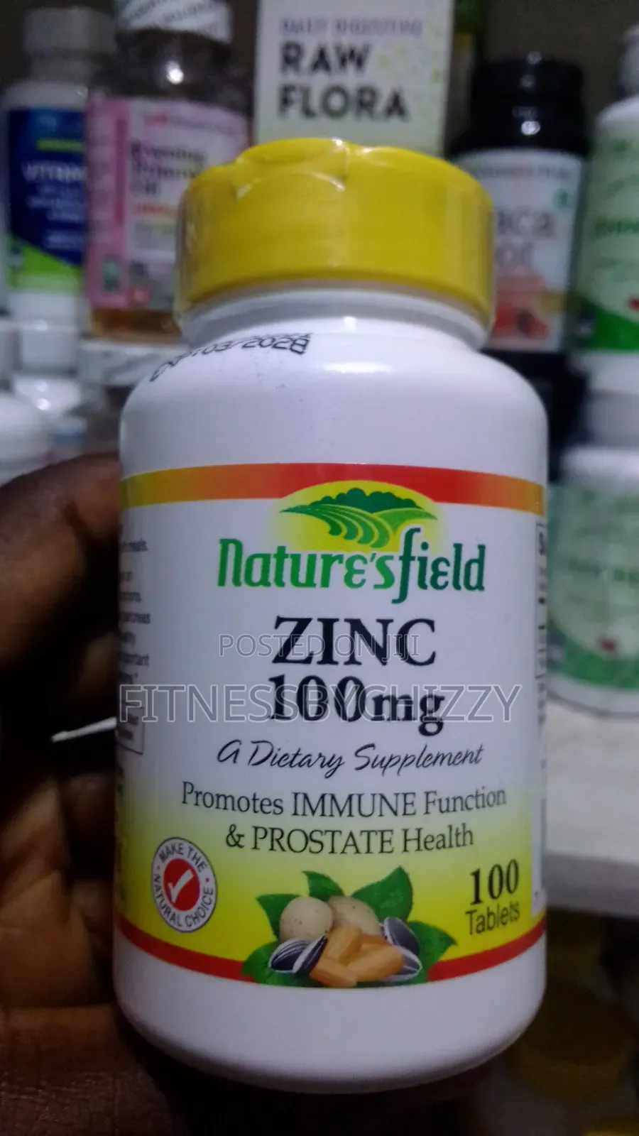 Nature's Field Zinc 100mg X 100 Tablets