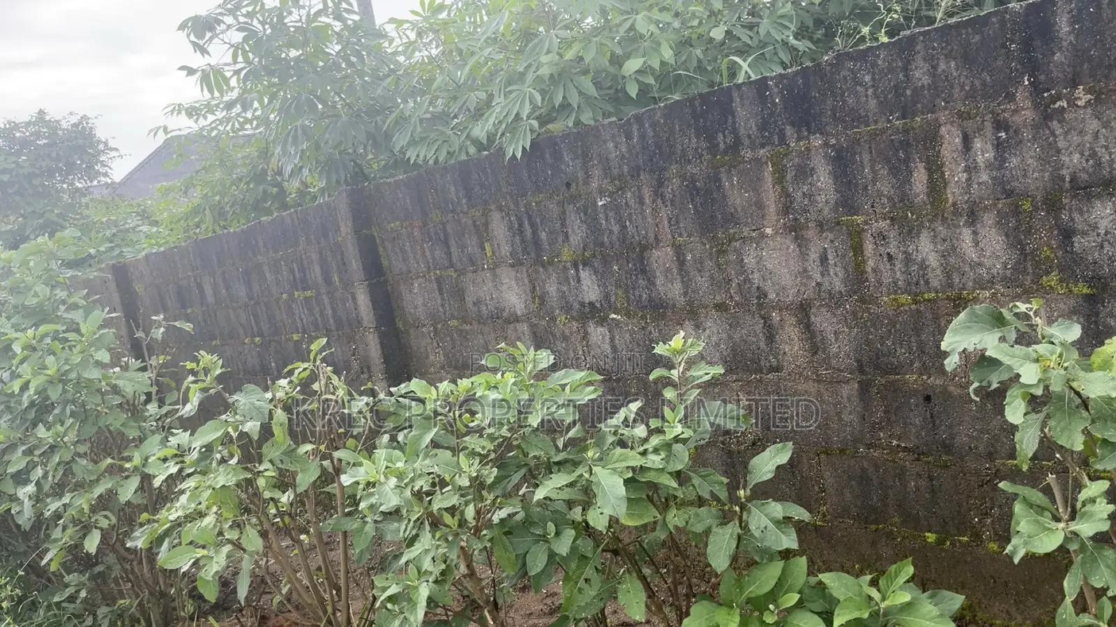 Okilton by Nta Road