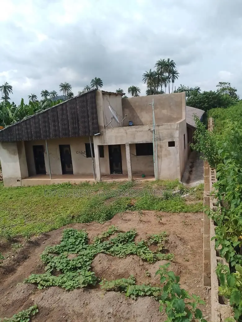 A 10000 Capacity Poultry Farm With Fish Pond