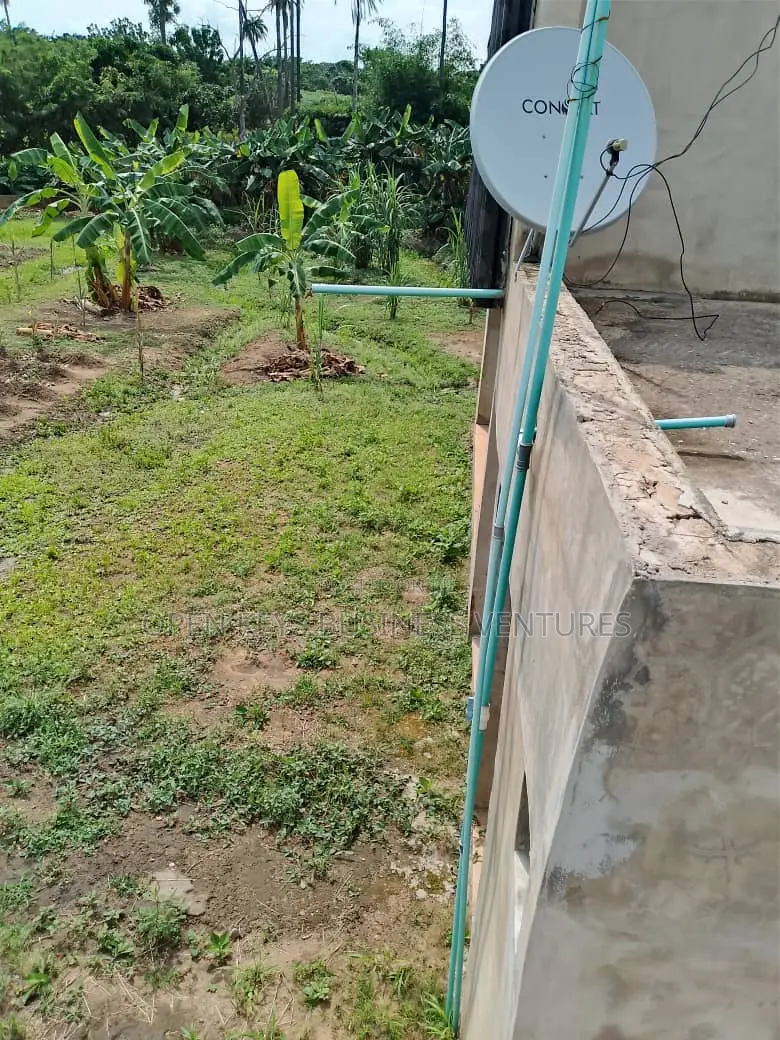 A 10000 Capacity Poultry Farm With Fish Pond
