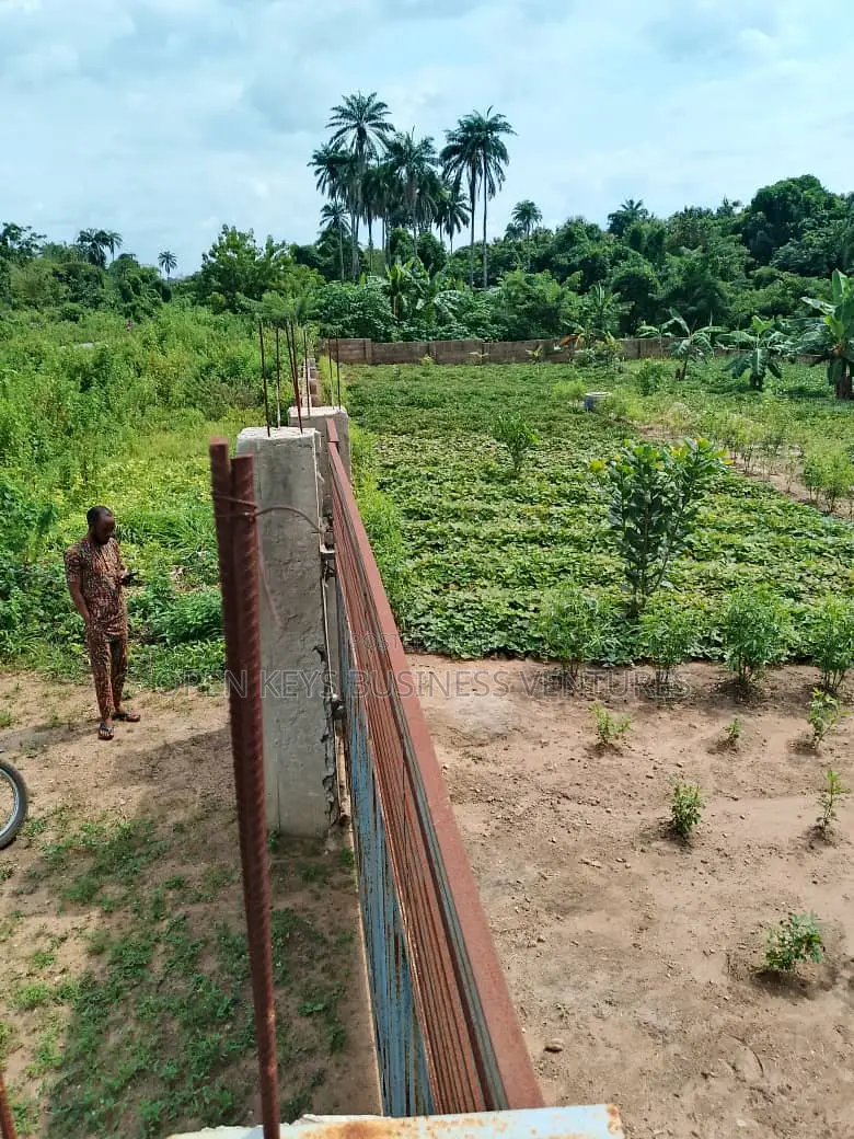 A 10000 Capacity Poultry Farm With Fish Pond