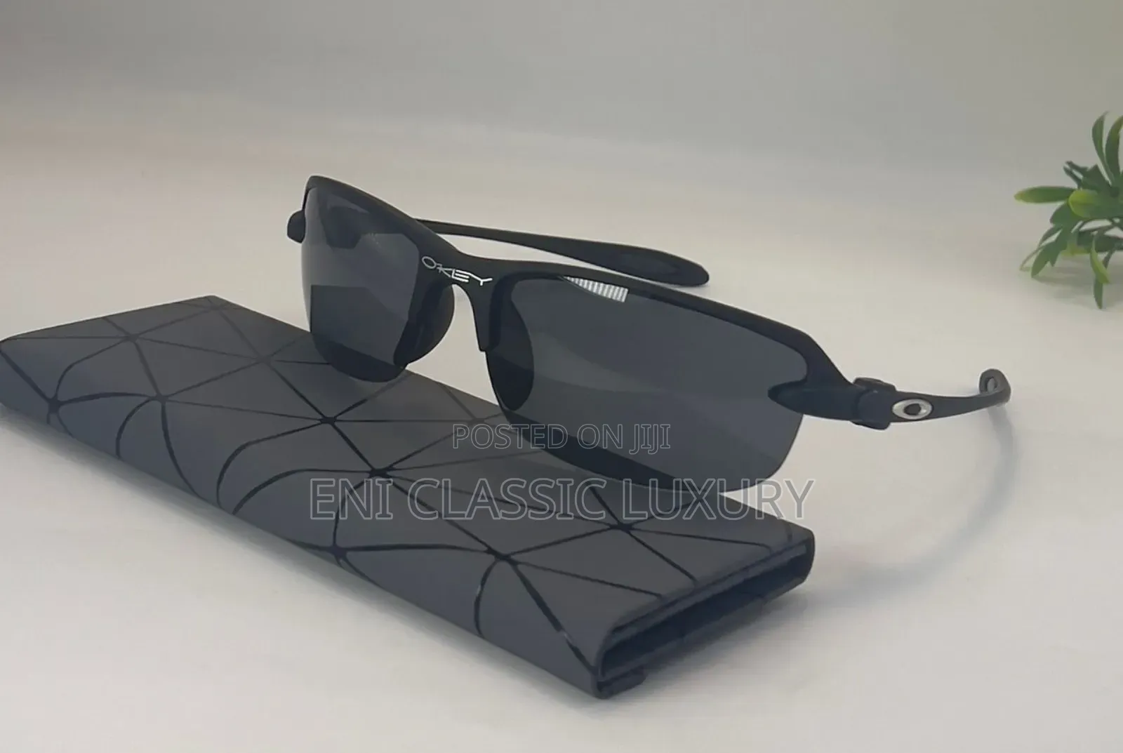 Pure Quality Luxury Eyewear Collection Rayban Well Branded Package