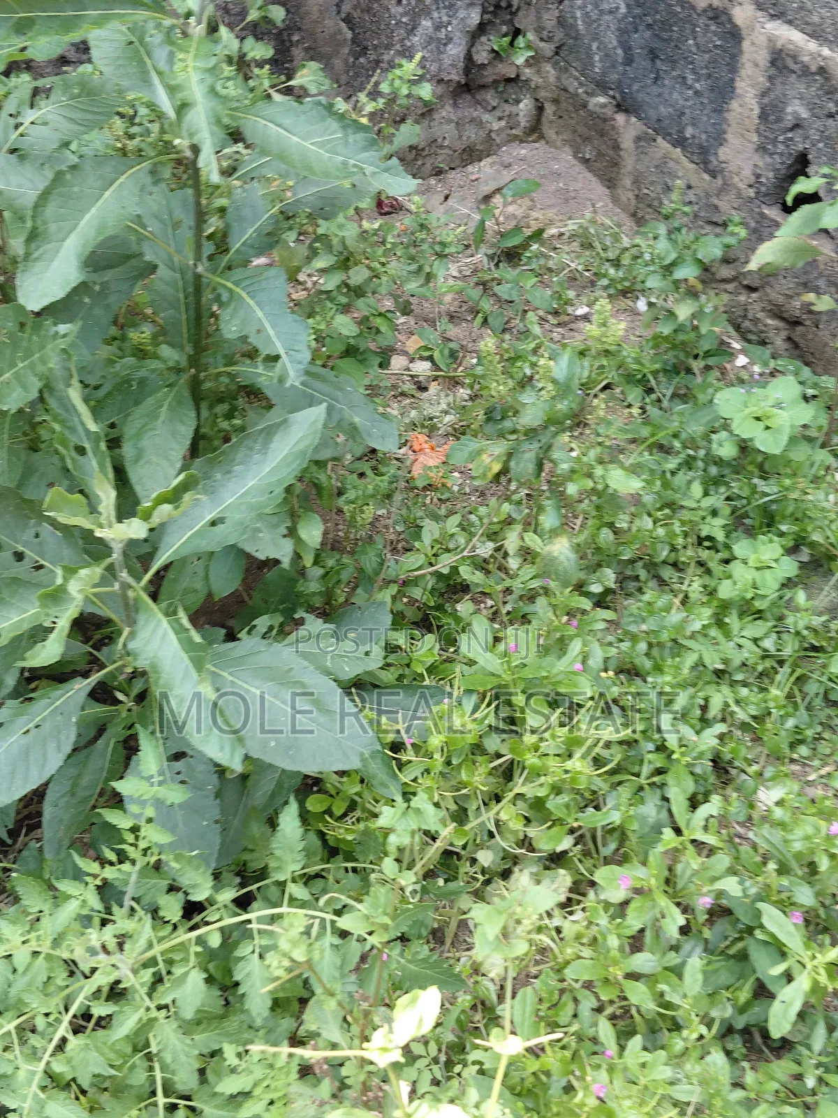2 Plots Facing Leki Epe Expressway Lakowe