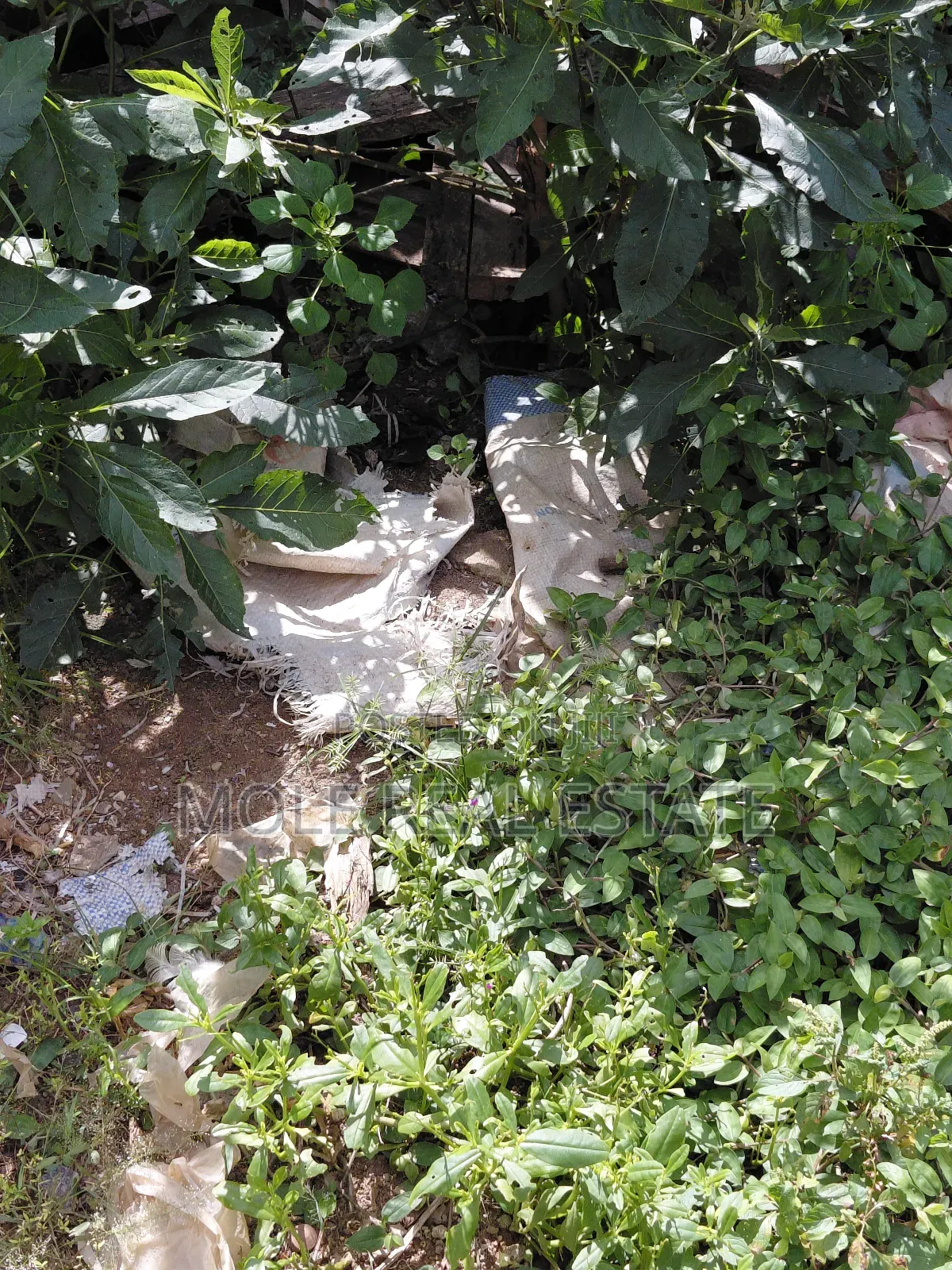 7 Acers Owode Onirin Elede /Mile 12 Lagos Ikorodu Rd