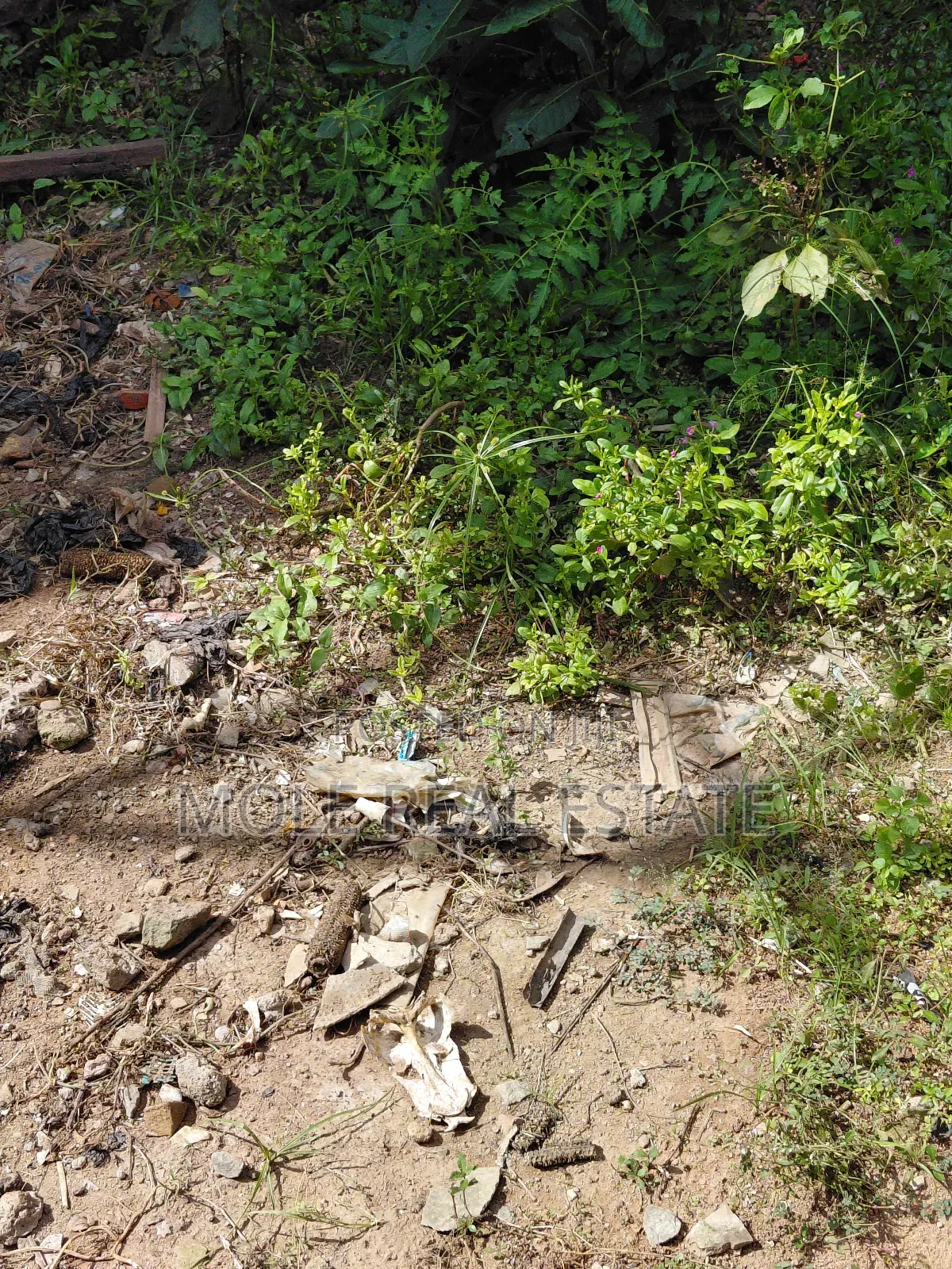 10 Plots Facing Lagos Abeokuta Expressway Sango Ota