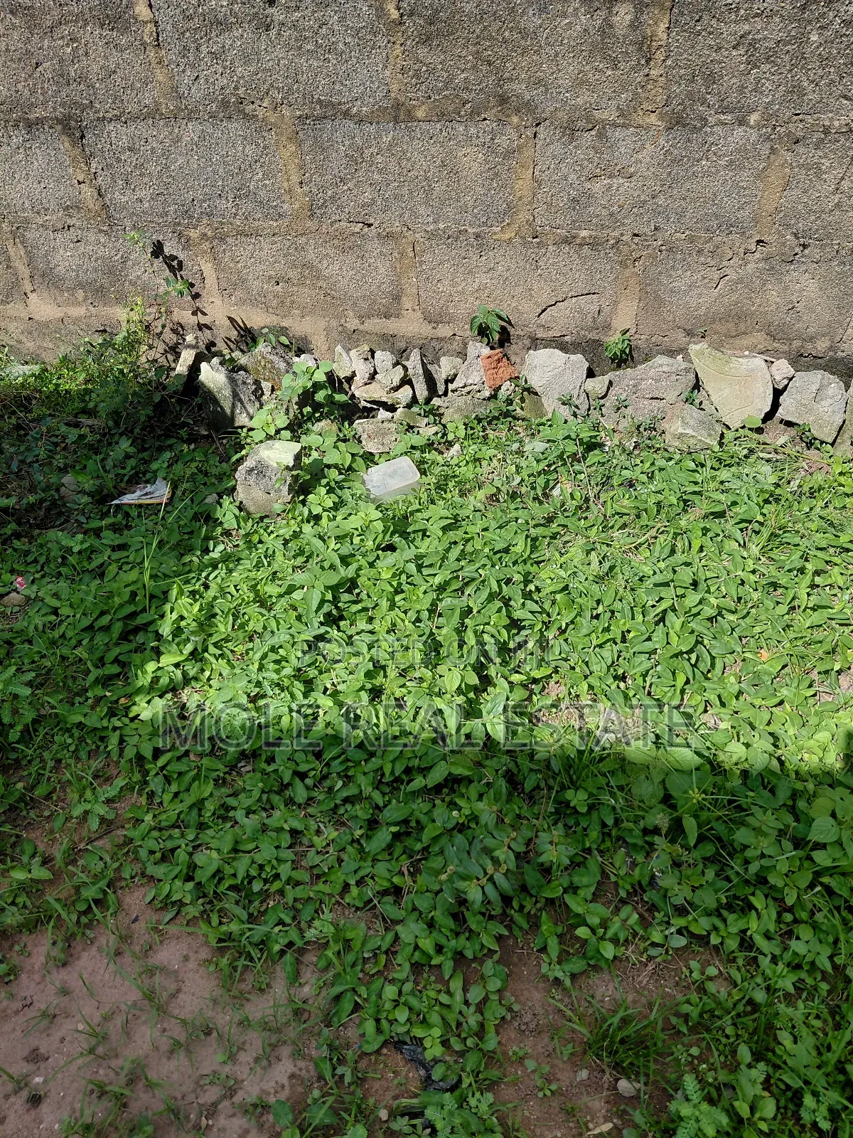 200 Acers Of Prime Land Arepo Developed Area Estate Site